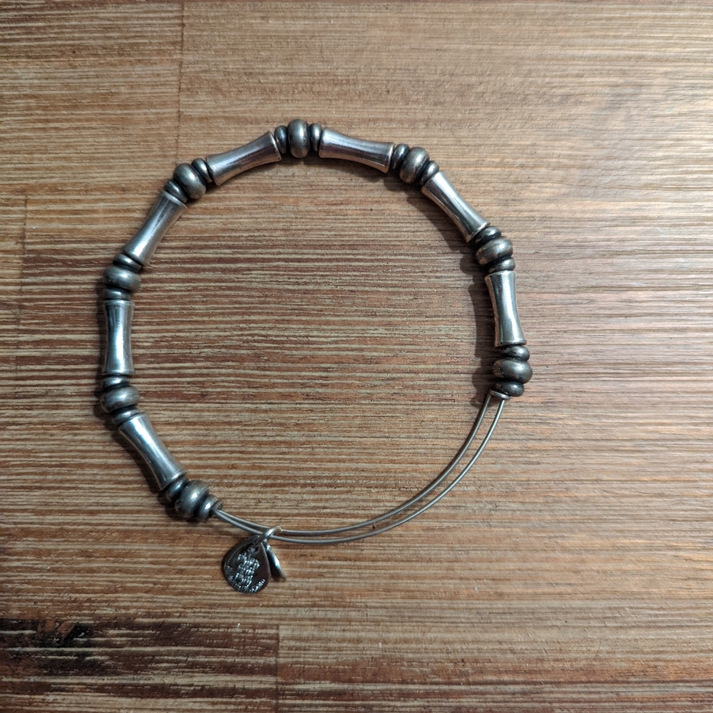 Alex and Ani adjustable bangle